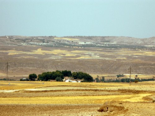 Fuentidueña de Tajo